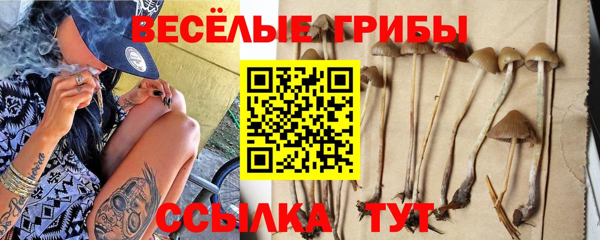 Галлюциногенные грибы прущие грибы  Вход с VPN  Лесозаводск 